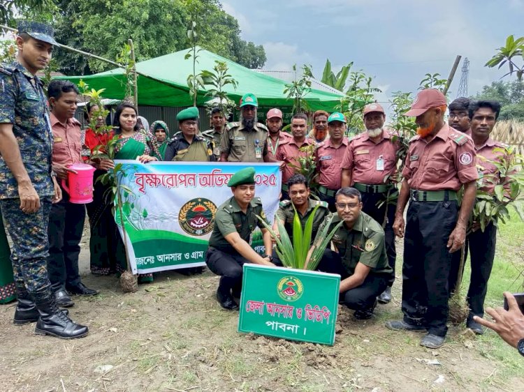 পাবনায় আনসার ভিডিপি'র বৃক্ষরোপণ কর্মসূচির উদ্বোধন: পরিবেশ সুরক্ষায় অনন্য দৃষ্টান্ত