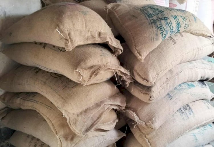 নওগাঁর রাণীনগরে ভ্যানচালকের বাড়ি থেকে খাদ্যবান্ধব কর্মসূচির ৫০ বস্তা চাল জব্দ