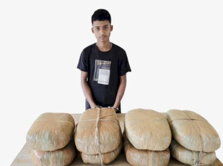 হোমনায় ২০ কেজি গাঁজা ও পিকআপ ভ্যানসহ এক মাদক কারবারি আটক