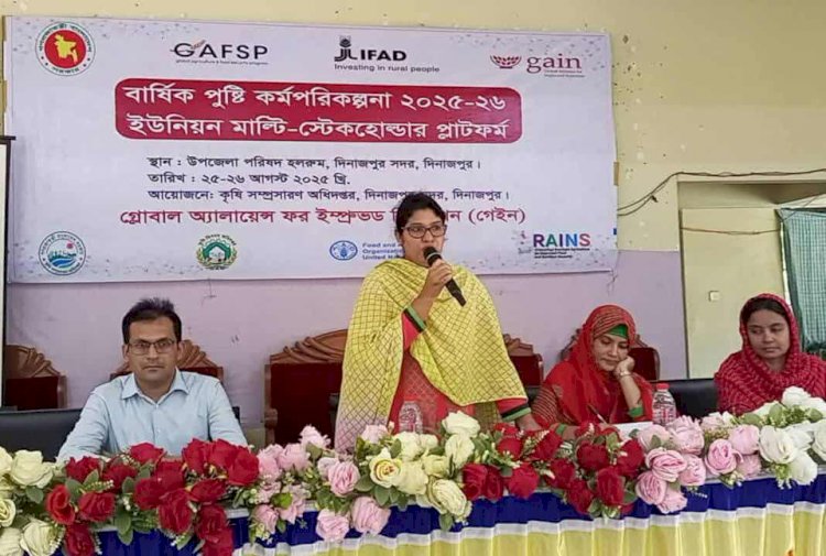 দিনাজপুর সদরে বার্ষিক পুষ্টি কর্মপরিকল্পনা বিষয়ক কর্মশালা অনুষ্ঠিত