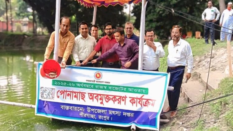 প্রতি বছরের ন্যায় আজ পীরগাছায় জাতীয় মৎস্য সপ্তাহ উপলক্ষ্যে বিভিন্ন জলাশয়ে পোনামাছ অবমুক্ত