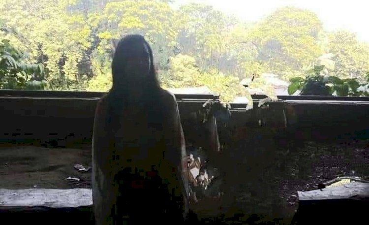 একজন আনন্দময়ী ক্ষমতাধর নারীর প্রস্তাবে (প্রথম পর্ব)