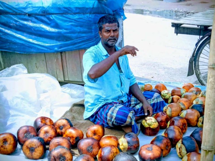 বুড়িচংয়ে হাটবাজারে পাকা তাল বিক্রির ধুম, তবে দাম বেশি