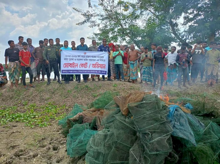 রাজশাহী পুঠিয়ার কান্তার বিলে অবৈধ জাল বিরোধী অভিযান