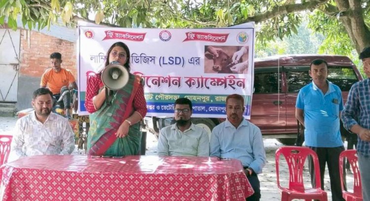 রাজশাহী কেশরহাটে ল্যাম্পি স্কিন ডিজিসের ফ্রী ভ্যাকসিন ক্যাম্প উদ্বোধন