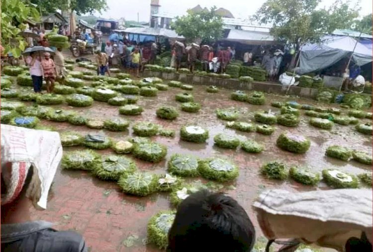 রাজশাহী মোহনপুরে সাধারন কৃষক  ও পান চাষিদের মধ্য হতাশার ছায়া