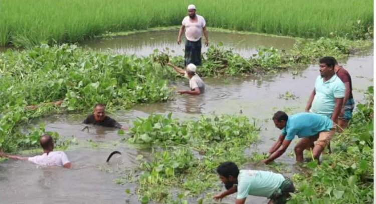 নওগাঁ জলাবদ্ধতা নিরসনে স্বেচ্ছাশ্রমে খাল পরিষ্কার অতঃপর সচল হলো পানি নিষ্কাশন