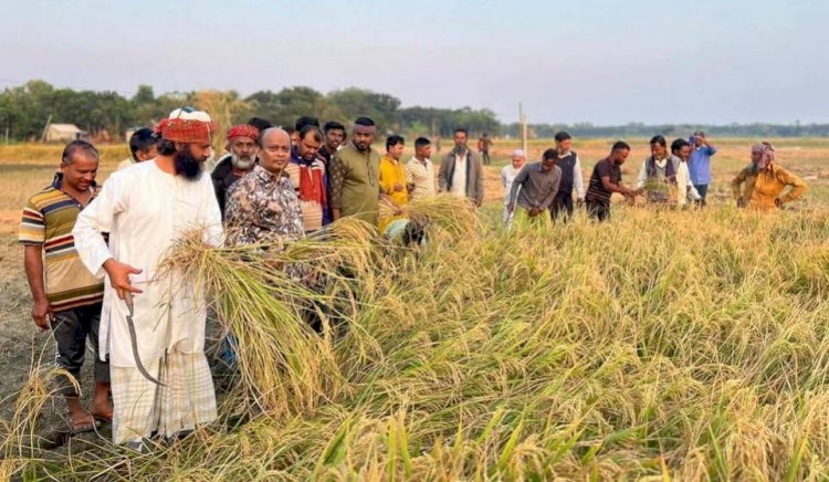 বালিয়াকান্দিতে কৃষকদের সঙ্গে মতবিনিময় করলেন ব্যারিস্টার কাজী রহমান মানিক