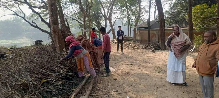 সামাজিক বনায়নের মাধ্যমে জ্বালানি সাশ্রয় ও কর্মসংস্থানে টিএমএসএস'র অনন্য অবদান