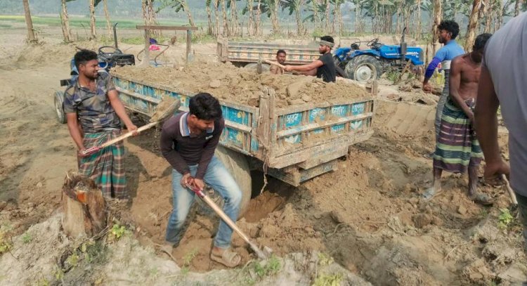 বদলগাছীতে এসিল্যান্ডকে ম্যানেজ করে,প্রকাশ্য দিবালোকে চলছে অবৈধভাবে ভিটা মাটি কাটা