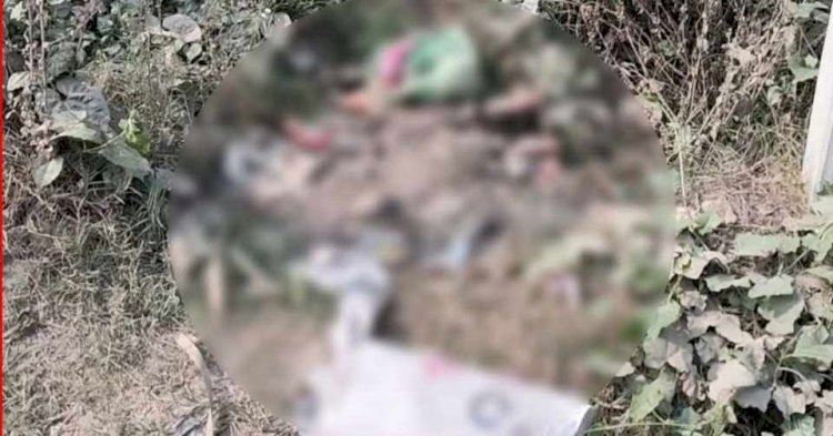 নড়াইলে শপিং ব্যাগে নবজাতকের মরদেহ টানাহেঁচড়া করছিল কুকুর