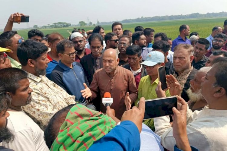 বিষ প্রয়োগ ও কেটে পেঁয়াজ ক্ষেত নষ্ট সরকারকে বেকায়দায় ফেলার ষড়যন্ত্র খতিয়ে দেখতে হবে  ( রাজবাড়ী-২ আসনের এমপি হারুন অর রশীদ )