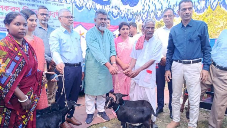 বদলগাছীতে ক্ষুদ্র নৃগোষ্ঠী পরিবারের মাঝে ১০০ টি ছাগল ও ম্যাট বিতরণ