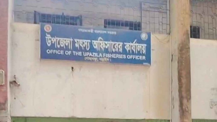 নড়াইলের লোহাগড়ায় প্রকল্প বাস্তবায়নে অনিয়ম তথ্য গোপন অনুদানের ৬০টি গরু গেল কোথায়