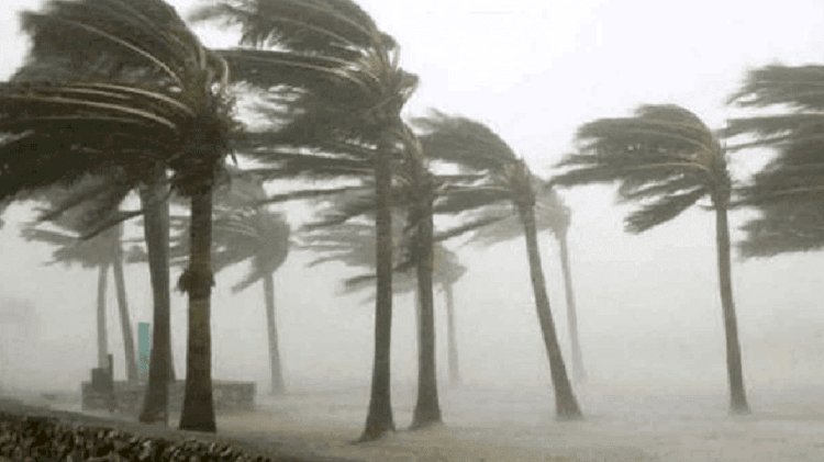 হঠাৎ ঝড়ে ব্যপক ক্ষয়ক্ষতি