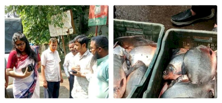 বৈষম্যহীন ও দুর্নীতিমুক্ত বাংলাদেশ গঠনে তরুণদের ঐক্যবদ্ধ হওয়ার আহ্বান হাসনাত আব্দুল্লাহর
