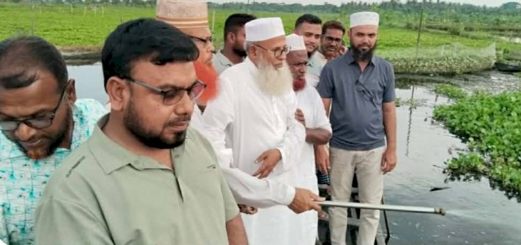কেশবপুরে কচুরিপানা নিধনে অর্থ সহায়তা  দিলেন এমপি অধ্যাপক মোক্তার আলী