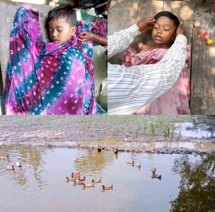 পীরগাছায় ডোবায় ডুবে দুই শিশুর মৃত্যু