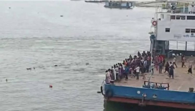 দৌলতদিয়া ফেরিঘাটে আবারও যাত্রীবাহী বাস পড়ল পদ্মা নদীতে