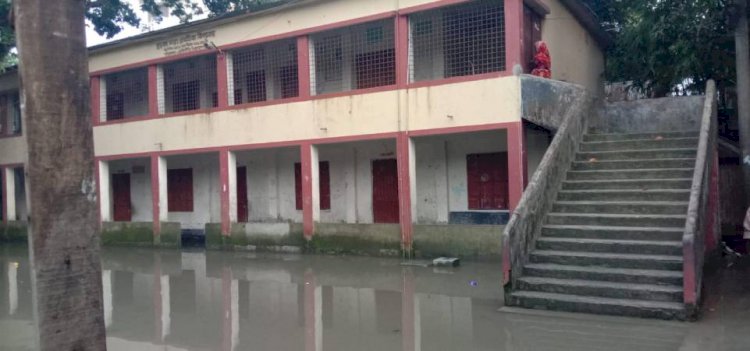 সিরাজগঞ্জ পৌরসভার মধ্যে  ঘুরকা সরকারি প্রাথমিক বিদ্যালয়ে চরম জলাবদ্ধতা, ডেঙ্গুর ঝুঁকিতে শিক্ষার্থী ও এলাকাবাসী