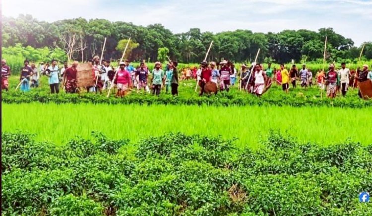 আলমডাঙ্গার কেশবপুর চরে ফের মাথাচাড়া চেংঙ্গিস গ্রুপ:  সংঘর্ষ-শঙ্কায় থমথমে এলাকা