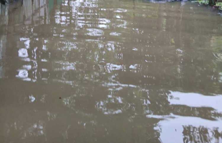 দেশের বিভিন্ন স্থানে চলমান বন্যা পরিস্থিতিতে স্বতঃস্ফূর্তভাবে মানবিক সেবায় কাজ করছে  বাংলাদেশ সশস্ত্র বাহিনীর অধিকার পরিষদ  এর সদস্যরা