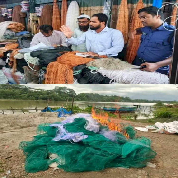পটুয়াখালীর মির্জাগঞ্জে মোবাইল কোর্ট পরিচালনায় অবৈধ জাল জব্দ