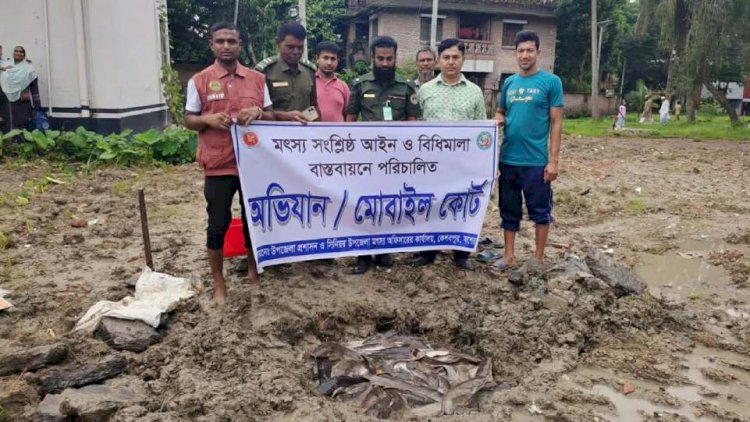 কেশবপুরে নিষিদ্ধ আফ্রিকান মাগুর মাছ  চাষ করার অপরাধে এক ব্যক্তির জরিমানা