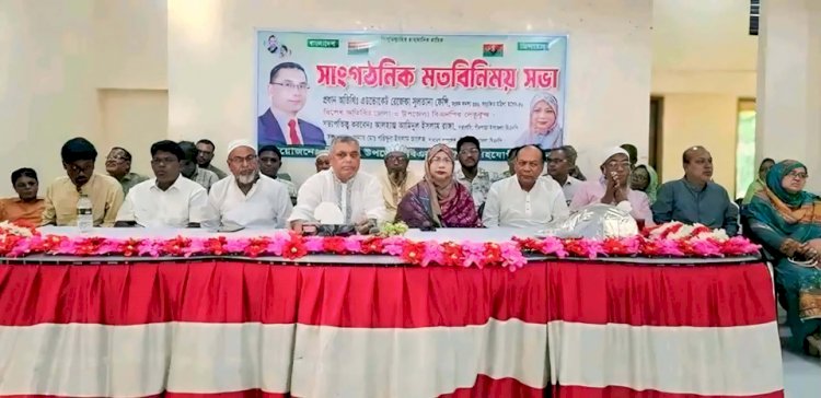 পীরগাছায় উপজেলা বিএনপির সাংগঠনিক মতবিনিময় সভা অনুষ্ঠিত