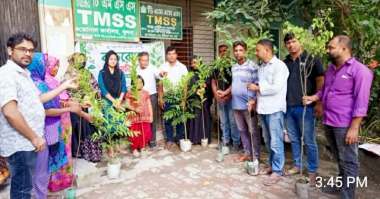 খুলনায় টিএমএসএস'র উদ্যোগে সদস্যদের মধ্যে বৃক্ষের চারা বিতরণ