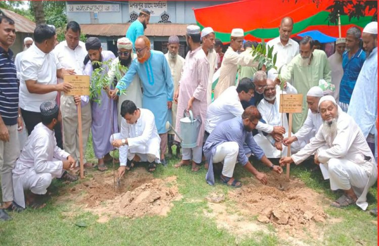 নওগাঁয় পরিবেশ ভারসাম্য রক্ষায় ৮ হাজার ধর্মীয় প্রতিষ্ঠানে বৃক্ষরোপণ কর্মসূচি শুরু