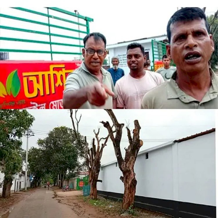 নওগাঁর মহাদেবপুর উপজেলা ধুনজইল মোড়ে সরকারি গাছের মাথা কেটে ফেলার ও ফুটেজ মুছে দেওয়ার অভিযোগ