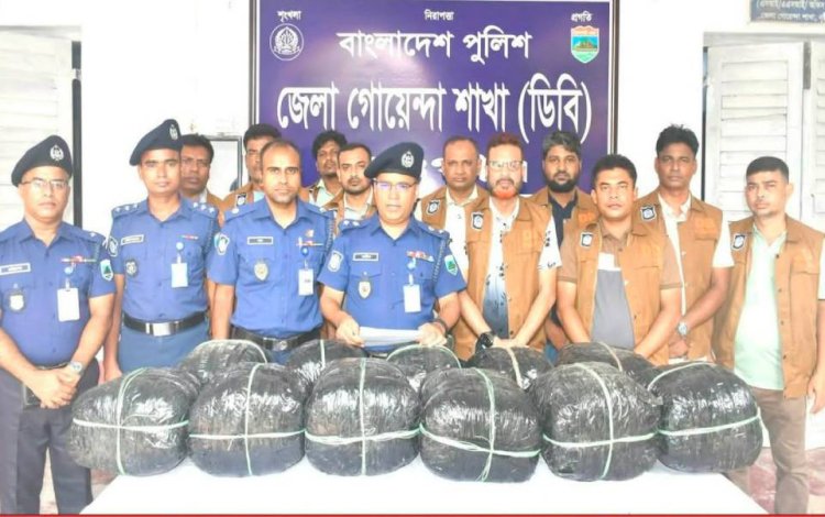 নওগাঁ গোয়েন্দা পুলিশের মাদকবিরোধী  অভিযানে সারে ৪২ কেজি গাঁজাসহ রুবেল গ্রফতার