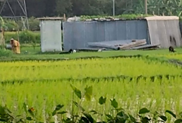 বিধবার ১৪ শতাংশ জমি গিলে খাচ্ছে দখলদাররা