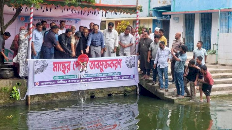 বুড়িচংয়ে ৩৩০ কেজি কার্পজাতীয় মাছের পোনা অবমুক্ত