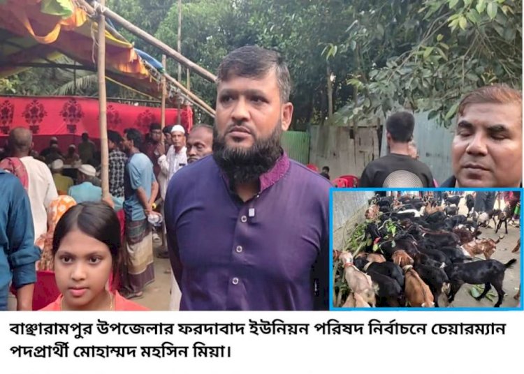 বাঞ্ছারামপুরে ১০০ ছাগল বিতরণ করে চেয়ারম্যান পদপ্রার্থী মহসিন মিয়ার নির্বাচনী প্রচারণা শুরু