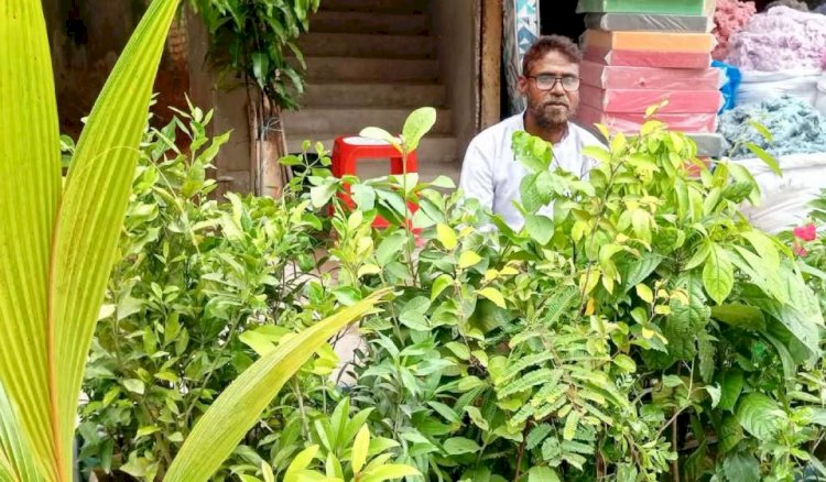 ফুটপাতে সবুজের ফেরিওয়ালা শরীফ , দশ বছর ধরে বিক্রয় করেন ফল-ফুলের চারা