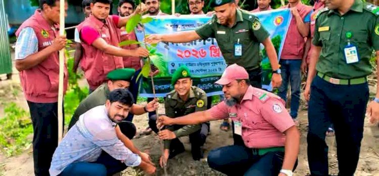 পাবনার চাটমোহরে আনসার ভিডিপি'র বৃক্ষ রোপণ কর্মসূচি