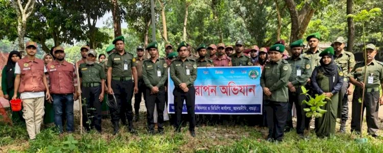 বগুড়ায় আনসার ও ভিডিপি'র বৃক্ষরোপণ কর্মসূচি অনুষ্ঠিত