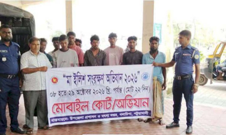 গলাচিপায় মা ইলিশ ধরার দায়ে ১৪ জনের কারাদণ্ড