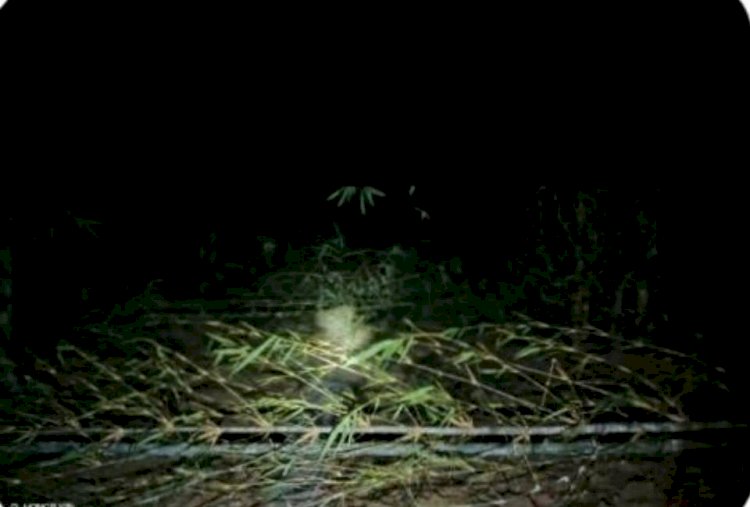 মালিকানা জমি জোরপূর্বক দখল করে রাস্তা করার পাঁয়তারা