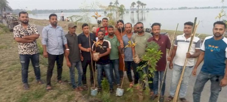 কেশবপুরে উজ্জ্বল স্মৃতি সংসদ-এর পক্ষ  থেকে বৃক্ষরোপণ